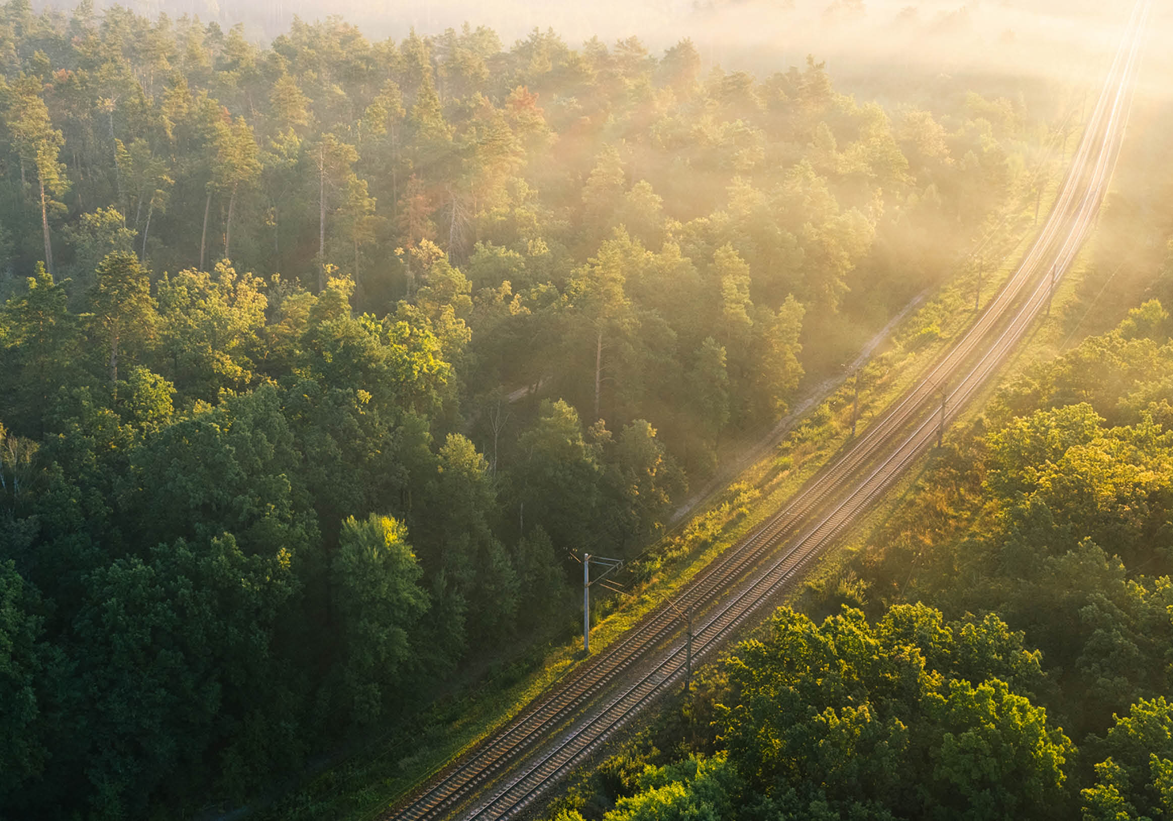 Railway track in the summer forest at dawn. A wonderful natural and industrial landscape. Drone view.