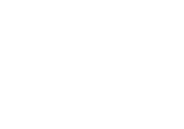 Mit dem besonderen Blick f r jedes technische Detail von G terwagen setzen wir bei Waggonreparatur und instand­haltun...