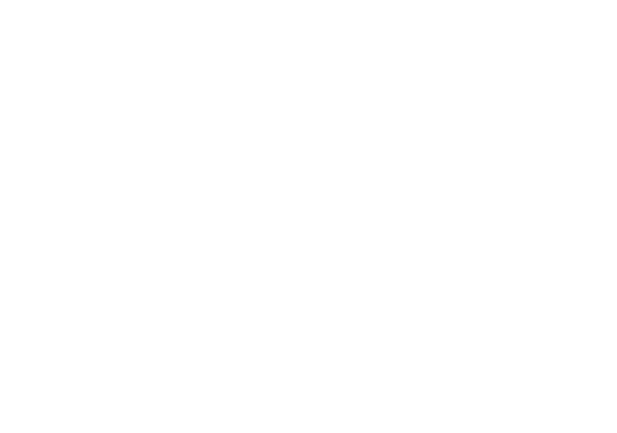 With an eye for every technical detail of freight wagons, we implement the latest standards in wagon repair and maint...