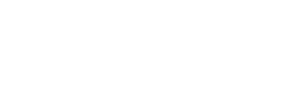 » Tank test with water/air » Wall thickness measurement » GCU damage » All work on the running gear and underframe » ...